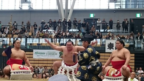 [画像:42f4a346-s.jpg]