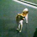 img20050723.jpg