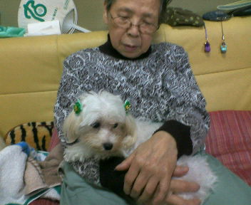 200810041129001.jpg