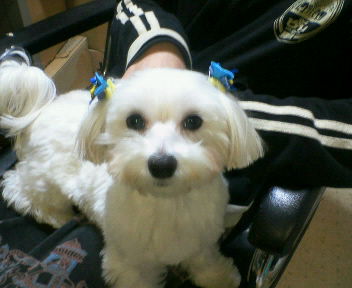 200903241832000.jpg