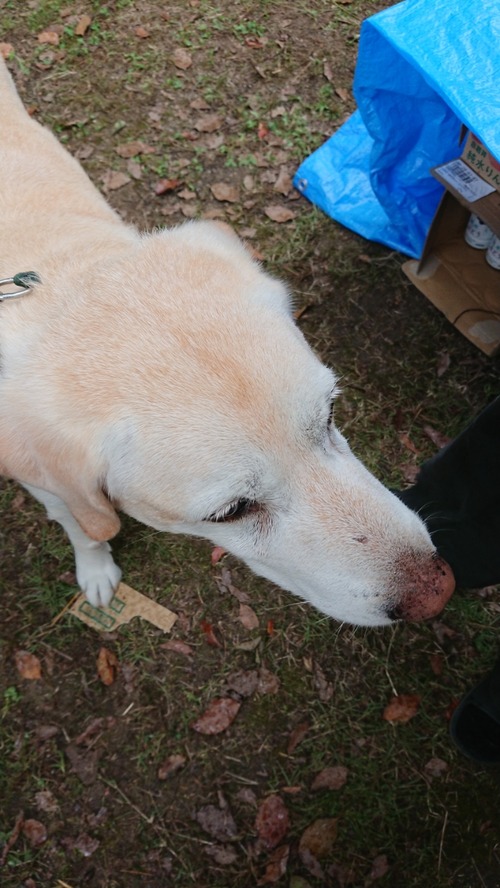 DSCPDC_0001_BURST20181006154749289_COVER