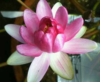200906231140000.jpg