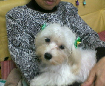 200810041129000.jpg