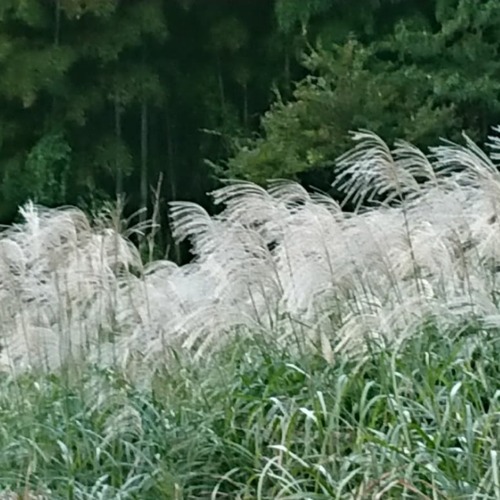 IMG_20191016_164525_248