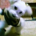 img20060202.jpg
