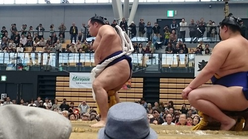 [画像:77a00e7b-s.jpg]