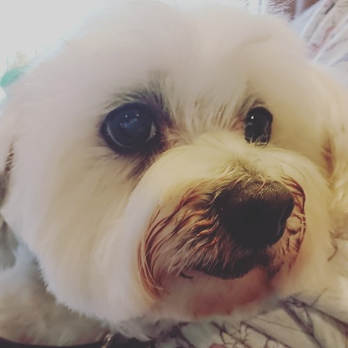 IMG_20200512_125810_329