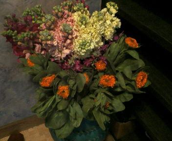 img20060215.jpg