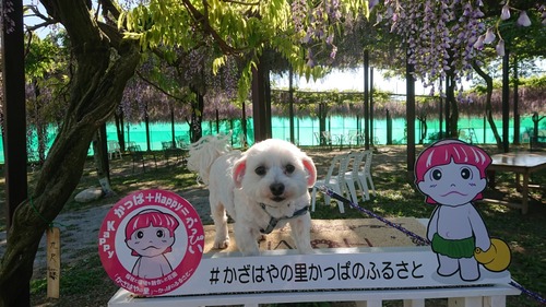 DSCPDC_0001_BURST20190507155928655_COVER