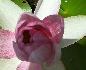 200907291201001.jpg