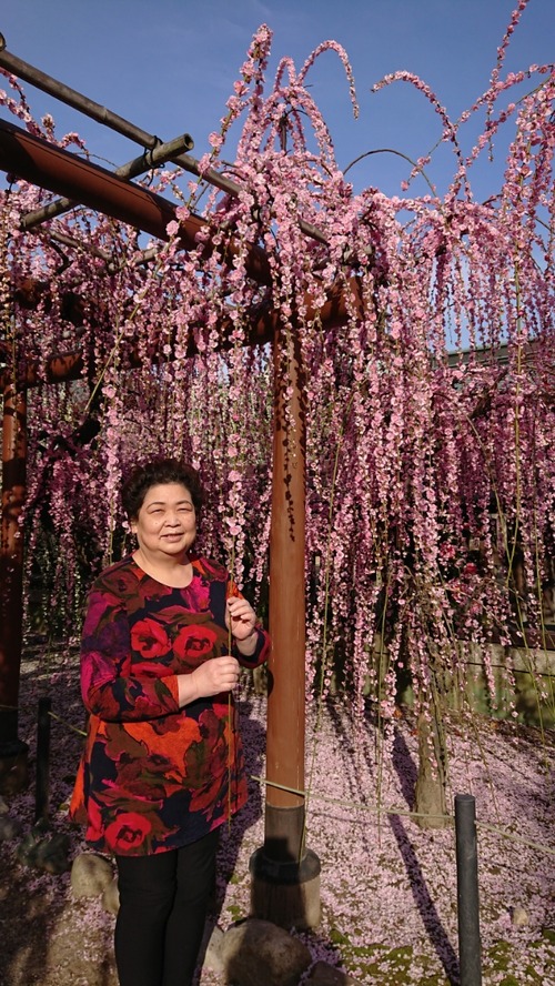 DSCPDC_0001_BURST20190305154314890_COVER