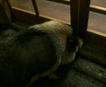 200810012018001.jpg