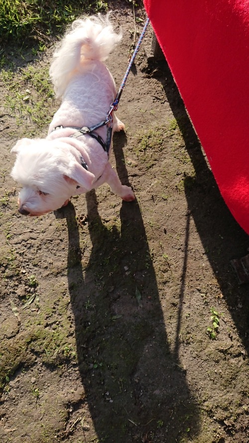 DSCPDC_0003_BURST20191015153858778_COVER