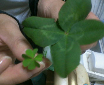 200905221708000.jpg