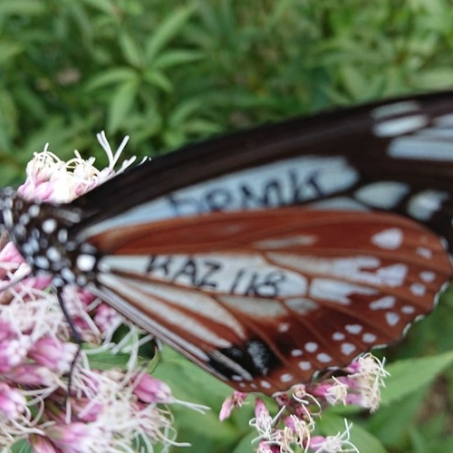 IMG_20191016_164525_280