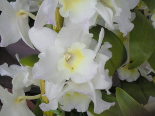 201005311801000