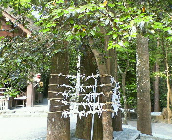 200905261603000.jpg