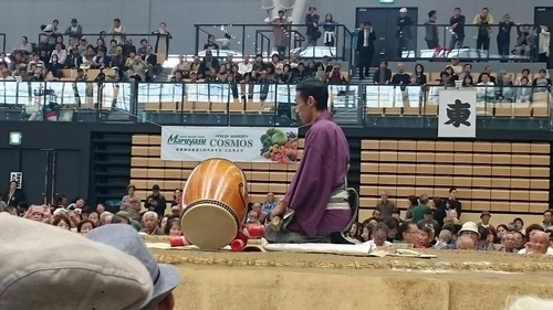 [画像:c6223623-s.jpg]