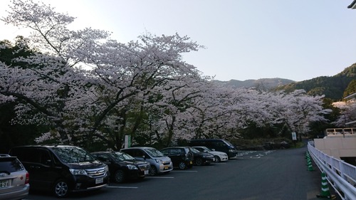DSC_3755