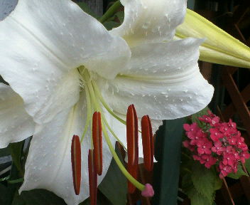 200906221324000.jpg