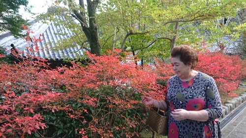 DSCPDC_0001_BURST20191113154016608_COVER