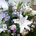 img20050309.jpg