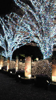 200911302021000.jpg