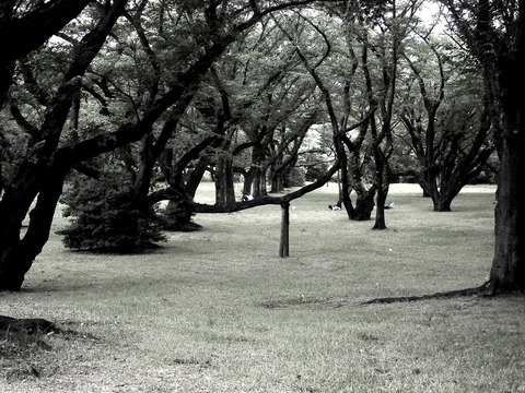 DSCN0142-2