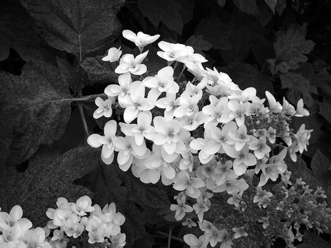 DSCN0069