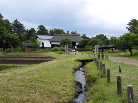 DSCN0138