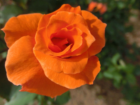 ザンブラsCIMG6467