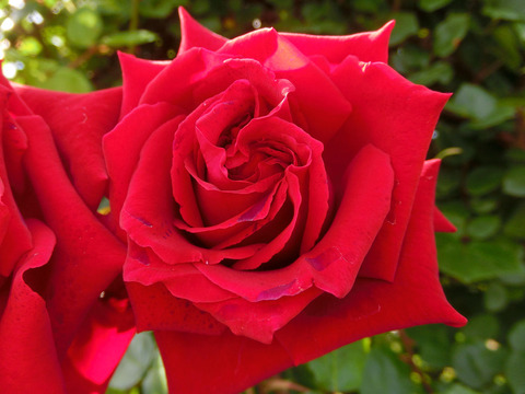 アンクル　ウォルターsCIMG5087