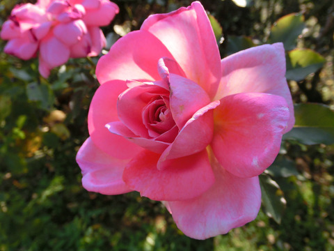 かすみ　香澄6876