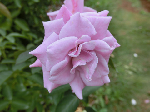 マチネsCIMG7152