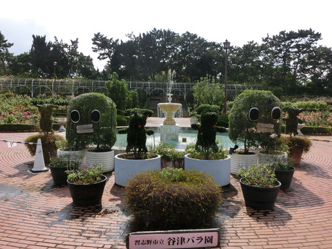 谷津バラ園sCIMG6353