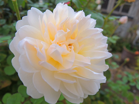 グラミス　キャッスル5819