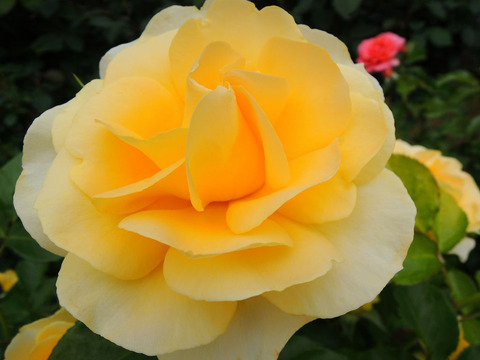 シティ　リバー0354