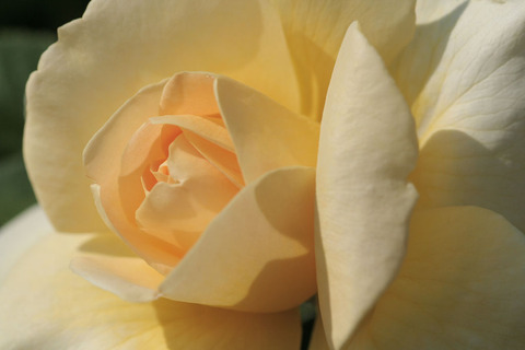 シティ　リバー3820