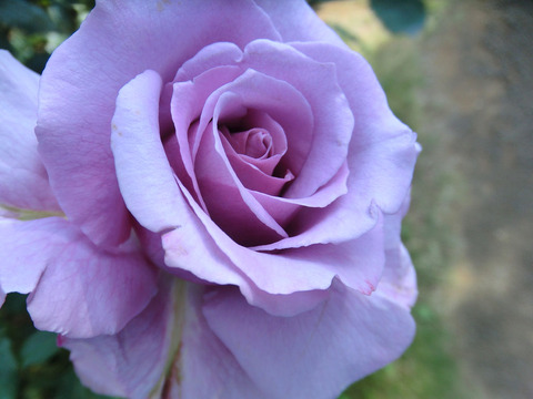 シークレット　パフューム0596