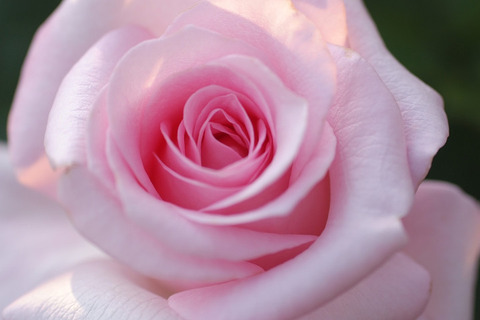 スィート　アキト