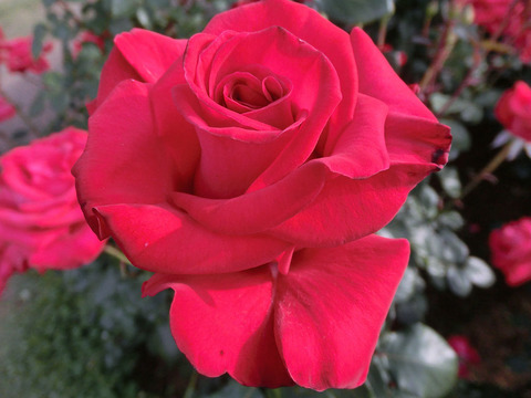 タイムレス　’９８2703