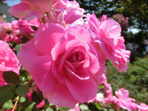 ケアフリー　ワンダー1200