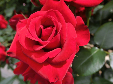 エクスプルワ2513