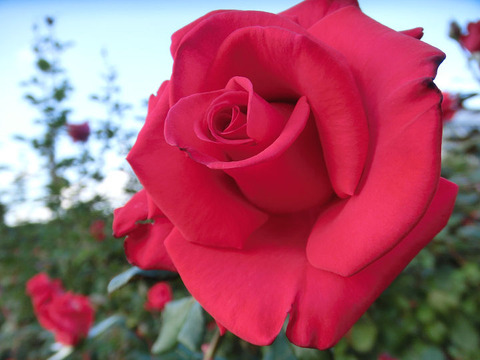 タイムレス　’９８5136