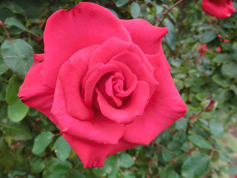 タイムレス　’９８5222