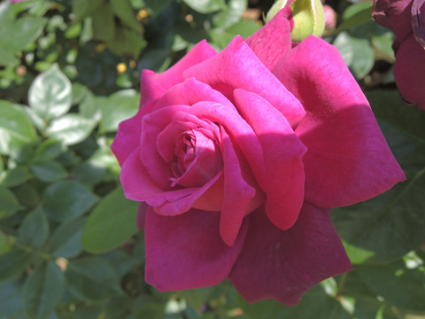 イントゥリーグ8475