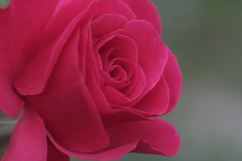 エルベショーン5847