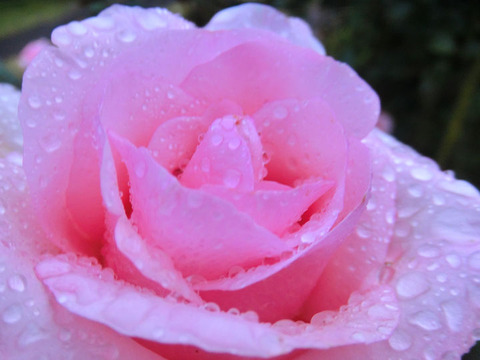 さんび　賛美　1607