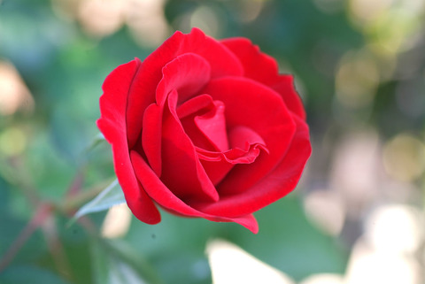 エクスプルワsDSCF0537