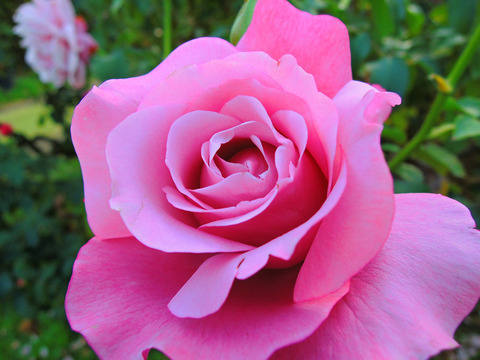 シャルル　ドゥ　ゴールsDSCN9233